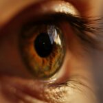 pexels-marc-schulte-656598-1766002