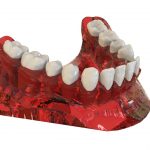teeth-2833414_1280