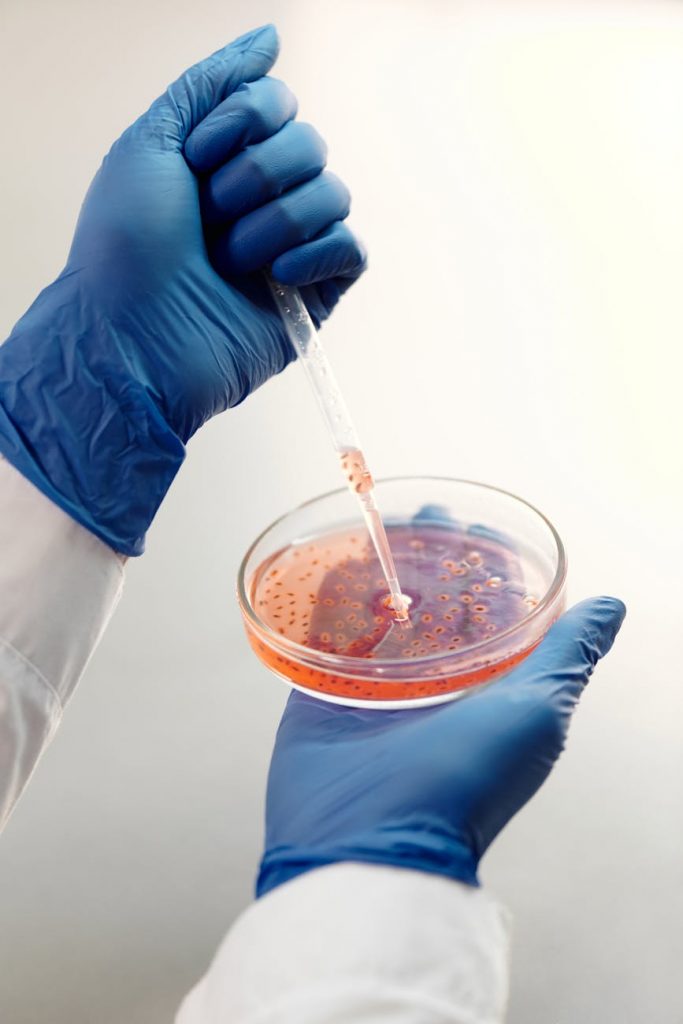 Diagnostyka laboratoryjna krok po kroku – od pobrania próbki do wyniku