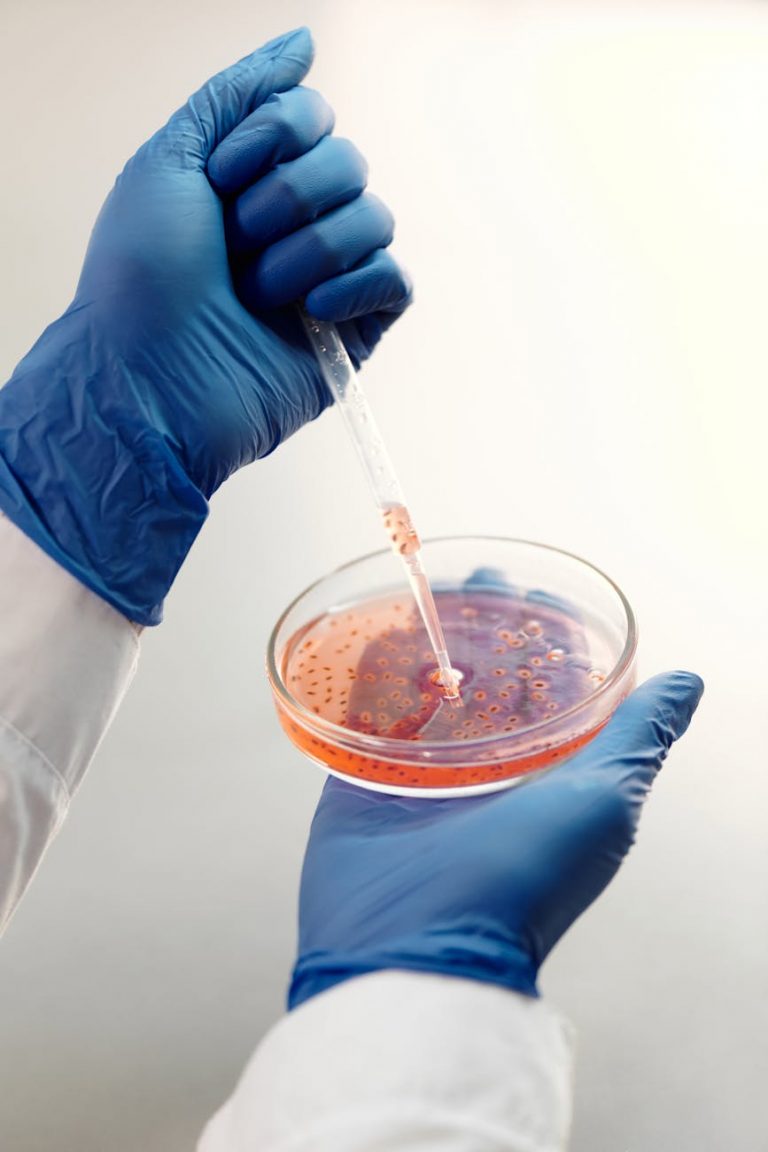 Diagnostyka laboratoryjna krok po kroku – od pobrania próbki do wyniku